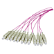 Cable de fibra de vidrio OM4 color púrpura ST - 12 piezas