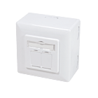 Caja de montaje en superficie CAT6 UTP/STP, blanca