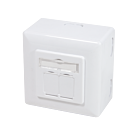 Caja de montaje en superficie CAT6 UTP/STP, blanca