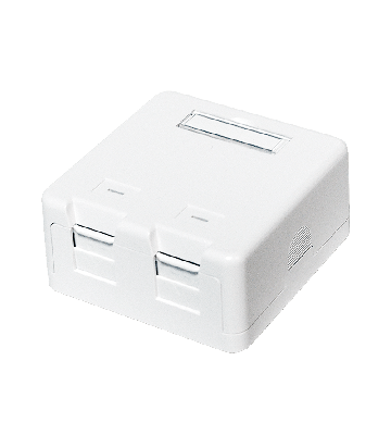 Caja de medios Keystone de 2 puertos